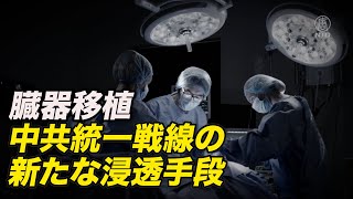 統一戦線の新たな浸透手段「緑金計画」とは【禁聞】