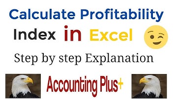Calculate profitability index in excel in one mint only