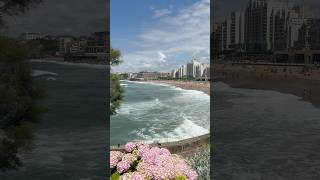 One perfect day in Biarritz ?? #travel #vacation #sun #fun #france #ocean #dog #walk