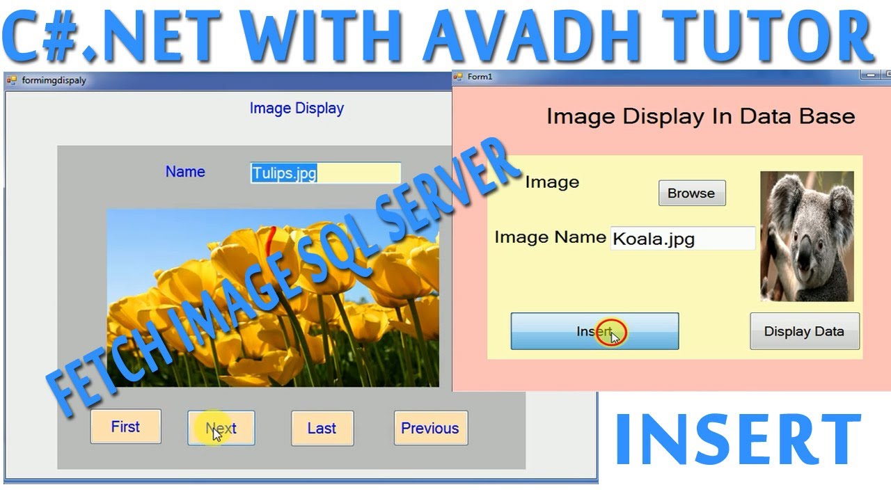 save and retrieve image from database c# windows application | image ...