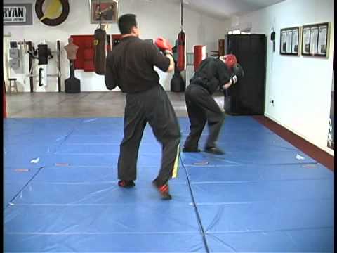 Spinning Hook Kick Demo ~ Richard Ryan