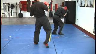 Spinning Hook Kick Demo ~ Richard Ryan