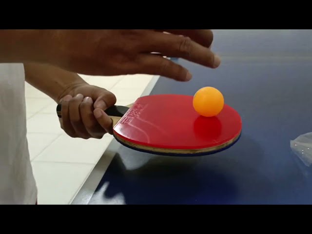 Testing Rubber Table Tenis Super Tacky Sanwei Target National and Sanwei T88 Ultra Spin class=