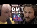 Capture de la vidéo Sturgill Simpson Interview 2020 - Talks About His Experience With Dmt