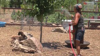 NMDA opens applications for funding for agricultural businesses to bring on interns
