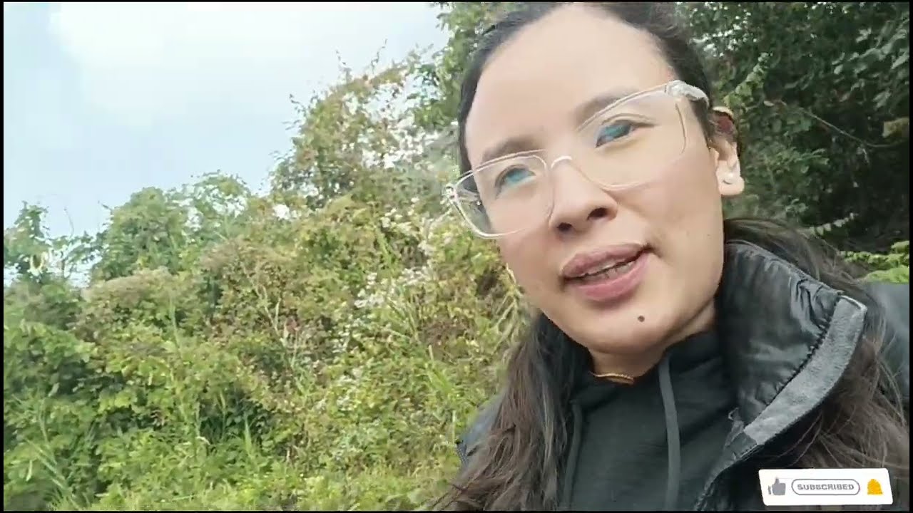 New year picnic 2026