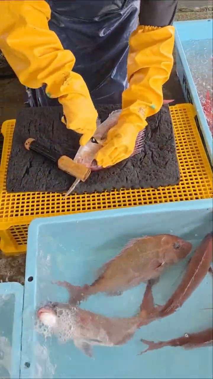 The expert is hard at work prepping the catch!! Lots of different
