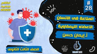 #28 | شرح المناعة فى الانسان ( شرح الأعضاء الليمفاوية ) 🛡️🦠 | احياء تالته ثانوى 2023 | إيمان حسن 🤝💯