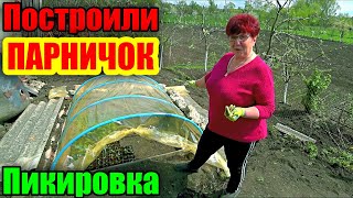 Пикируем рассаду овощей в новый парничок! Как быстро сделать парник?