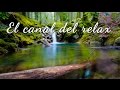 SONIDOS RELAJANTES DE LA NATURALEZA, AGUA Y PAJARILLOS 2, RELAX NATURE SOUNDS WITH WATER AND BIRDS 2