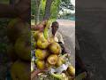 plam c"utting #viral #food