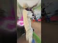 MWABA IMBIрџљЁрџ єрџ ё Drill PUISSANT KEV FEAT LABI STARS MWABA IMBIрџљЁрџ єрџ ё Drill PUISSANT KEV FEAT LABI STARS