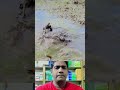 এটা কি #animals #shorts #shortvideo #shortsfeed