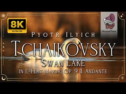 Tchaikovsky | Swan Lake, Op. 20, Act 1: II. Valse. Tempo di valse | Moving Nature Visuals