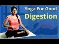 YOGA For Digestion | DIGESTION PROBLEM | Digestion System | Easy Yoga Workout | Workout Video