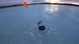 видео: Щуки полно! Но такую щуку я не видел. Ловля на жерлицы зимняя рыбалка. картинка: Щуки полно! Но такую щуку я не видел. Ловля на жерлицы зимняя рыбалка.