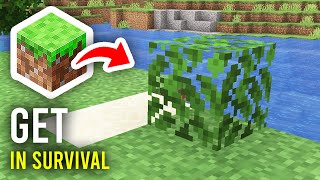 How To Get Leaves In Minecraft Survival - Full Guide
