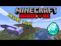 i found diamonds way too easy in hardcore minecraft...
