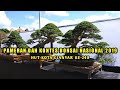 Pameran Dan Kontes Bonsai Nasional 2019, Gianyar-Bali. (Part 1)