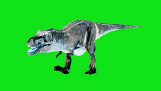 T-Rex Tyrannosaurus Rex | Green Screen Free