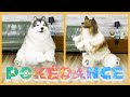 POKÉDANCE