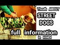 INDIAN PARIAH DOG INFORMATION in HINDI | STREET DOGS | Dog Facts | famous dogs | Dog Buddy