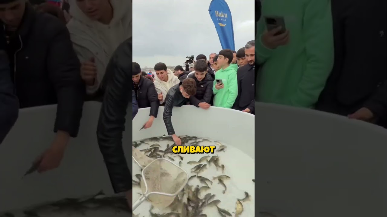 Ты думал их уничтожают? 😨