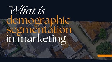What is Demographic Segmentation in marketing
