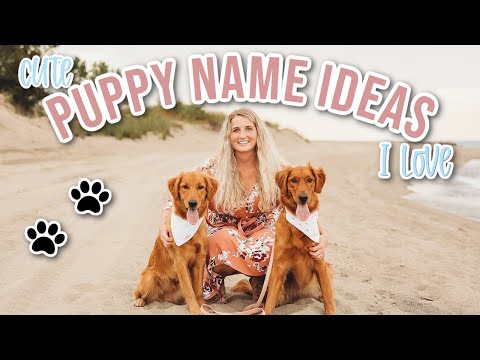 Video: Gør og don'ts for at vælge et kæledyrsnavn