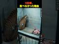 猛獣が餌を食べなかった本当の理由