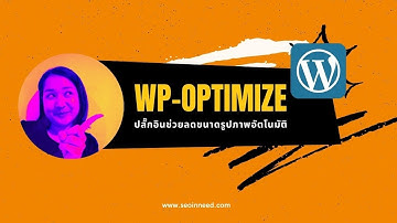 แนะนำ WordPress Plugin สำหรับการ Optimize เว็บไซต์  - พร้อมการตั้งค่าปลั๊กอิน
