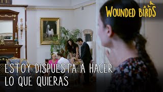 Estoy Dispuesta A Hacer Lo Que Quieras Wounded Birds (Yaralı Kuşlar) Capítulo 120