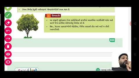 STD :10| SCIENCE | CHEP.:15 : આપણું પર્યાવરણ| લેક્ચર 2