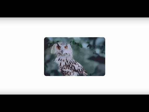 #Pixel: Nights Out by You, Phone by Google