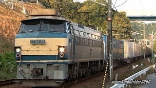 JR貨物 EF66 30号機+コキ26B 貨物列車1055レ 横川→西広島 2013.11