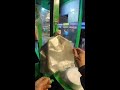 Live broadcast of street food specialties and fruit delicacies