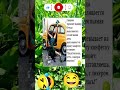 #одесскийюмор #юмор #анекдоты #шуточное #jokes #анекдот #сатира