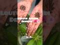 Easy Lotus Mehndi Design 2026 | Step by Step Bridal Lotus Henna | New Mehndi Design🌷