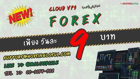 HostingLotus: สอนติดตั้ง EA ใน MT4 บน VPS