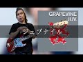 GRAPEVINE - ジュブナイル Bass cover 弾いてみた TAB