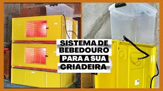 Equipe Também Sua Criadeira Com O Sistema De Bebedouro Como O Daniel Do Criatório Cajueiro Da Pb