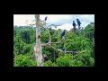 H. Villa-Lobos: Floresta Do Amazonas -- Hermann Bäumer/Philharmonisches Staatsorchester Mainz (2024)