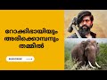 അരിക്കൊമ്പനും റോക്കിഭായിയും | Funny Fact Check #arikkomban #rockybhai #yash #elephant #kerala