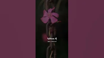 شاهد كيف تحصل على السعادة الكاملة مصطفى محمود الدكتور مصطفى محمود المفكر مصطفى محمود 