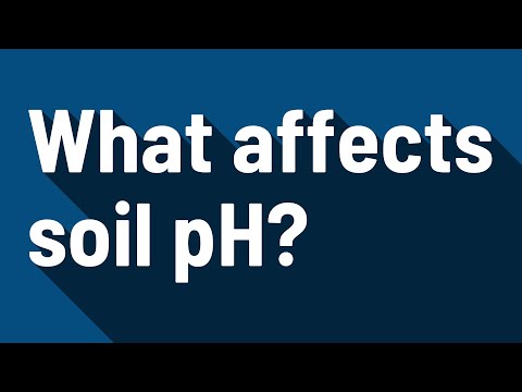 What affects soil pH?
