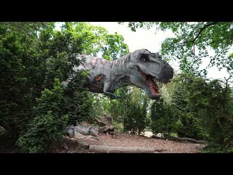 DinoPark a ZOO Plzeň! 🦕🦒