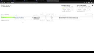 DNS query monitoring