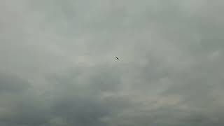 Holz Pylon E Speeder 6s flight with small Prop