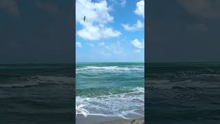 DEEP HOUSE FOR DREAMERS  🌴 Hour Mix • Raw Eliz