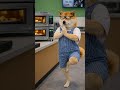 コンビニでの筋肉自慢の仕方💪🐕